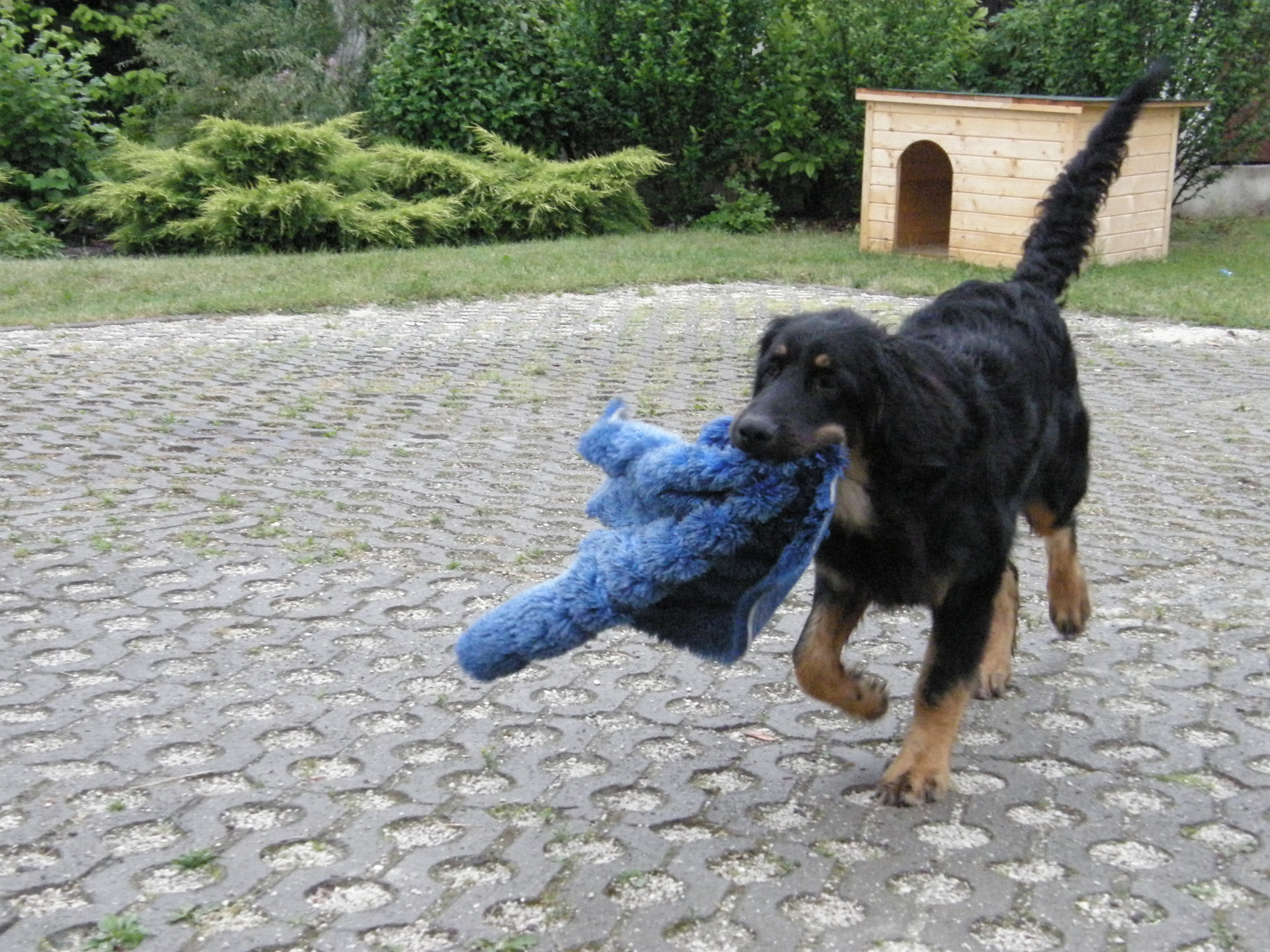 nové foto 105.jpg